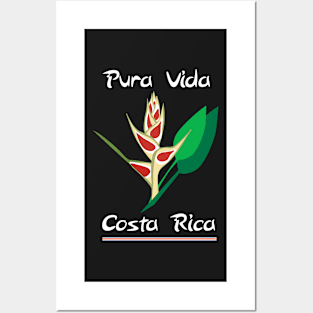 Heliconia Posters and Art